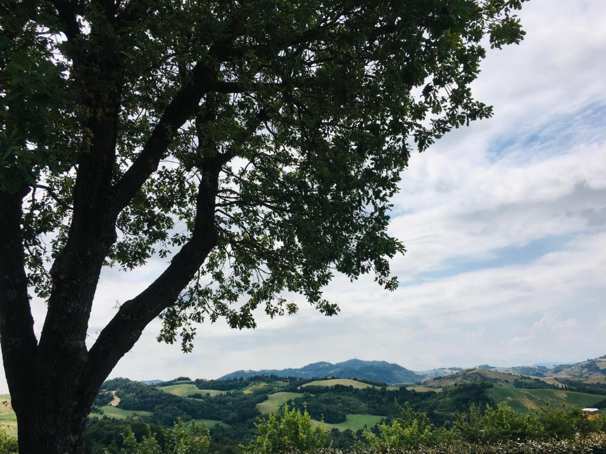 La Palazzina Di Ciagnano Villa Ozzano dell'Emilia Dış mekan fotoğraf