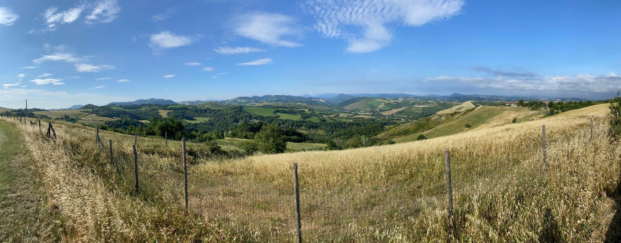 La Palazzina Di Ciagnano Villa Ozzano dell'Emilia Dış mekan fotoğraf