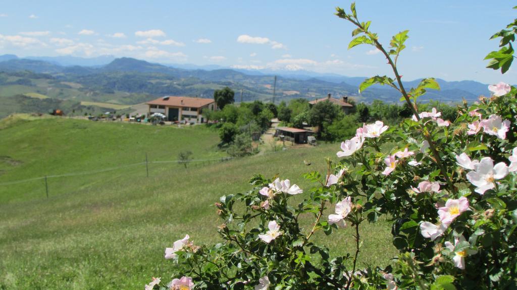 La Palazzina Di Ciagnano Villa Ozzano dell'Emilia Dış mekan fotoğraf